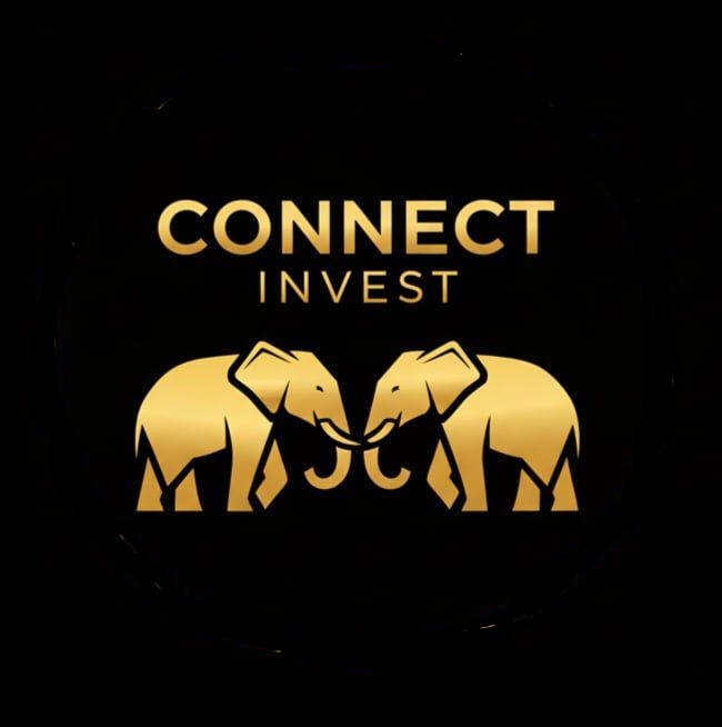 Logo Connect Invest